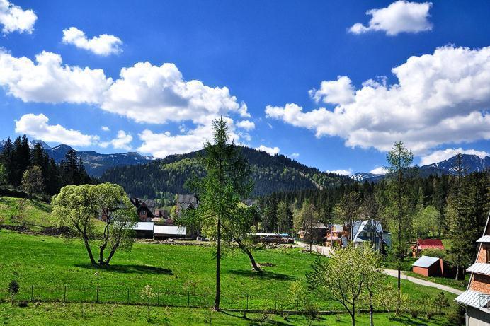 Pokoje Goscinne U Marysi Zakopane Extérieur photo